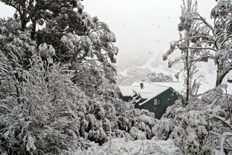 Alpenhorn - Accommodation Yamba 0