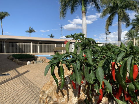 Silo Motor Inn - Accommodation Yamba 6