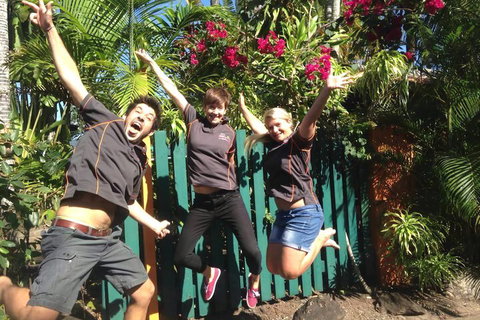 JJs Backpackers Hostel - Accommodation Yamba 6