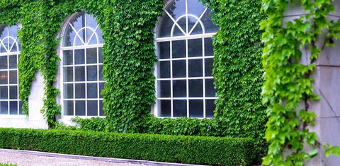 Milton Park Country House Hotel & Spa - Accommodation Yamba 0