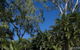 Kipara Tropical Rainforest Retreat - thumb 3