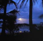 Sejala Beach Huts - Accommodation Yamba