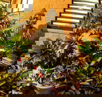 Pialba Motor Inn - Accommodation Yamba