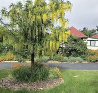 Hamlet Downs Country Accommodation - Accommodation Yamba