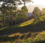Bundle Hill Cottages - Accommodation Yamba