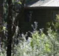 Twin Falls Bush Cottages - Accommodation Yamba