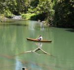 Figtree Getaway - Accommodation Yamba