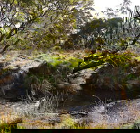 Green Gully House - Accommodation Yamba