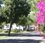 BIG 4 Hay - Accommodation Yamba