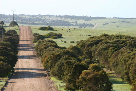 Almonta Park Lodge - Accommodation Yamba 4