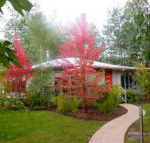 Dalrymples Guest Cottages - Accommodation Yamba