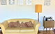 Hyams Beach House - A Secret Treasure - thumb 4