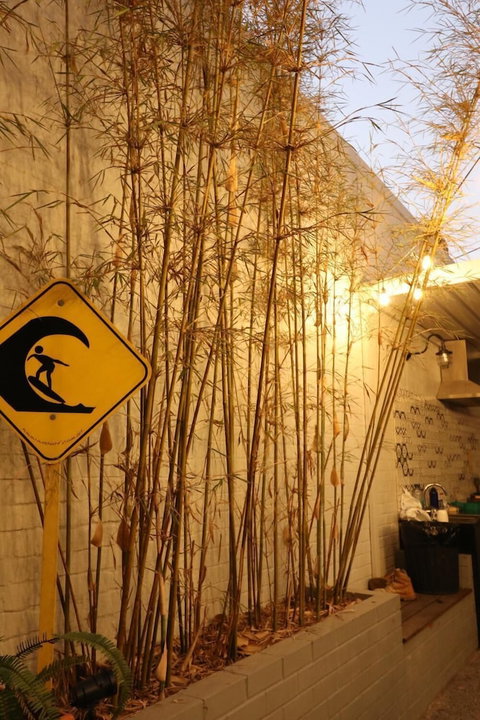 Britannia On William - Hostel - Accommodation Yamba 0