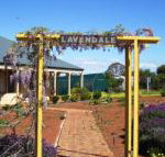 Lavendale Farmstay  Cottages York - Accommodation Yamba