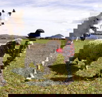 Taras Richmond Farmstay - Accommodation Yamba