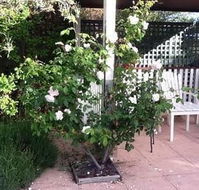 Ellesmere House - Accommodation Yamba