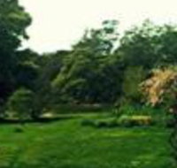 Birdwing Bed  Breakfast Weegena - Accommodation Yamba