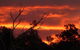 Launceston Bed & Breakfast Retreat - thumb 7