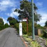 Protea Hill - Accommodation Yamba 0