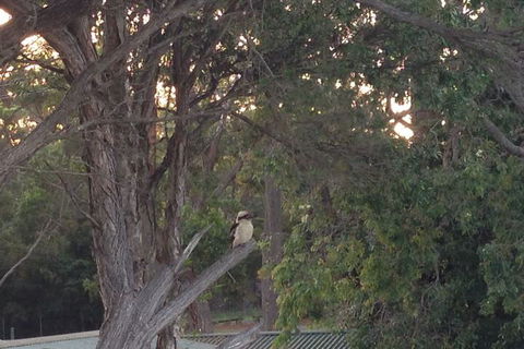 Huskisson Beach B&B - Accommodation Yamba 2