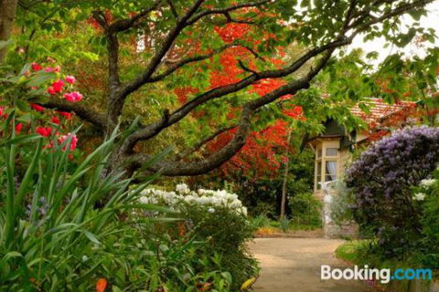 Broomelea Bed & Breakfast - Accommodation Yamba 2