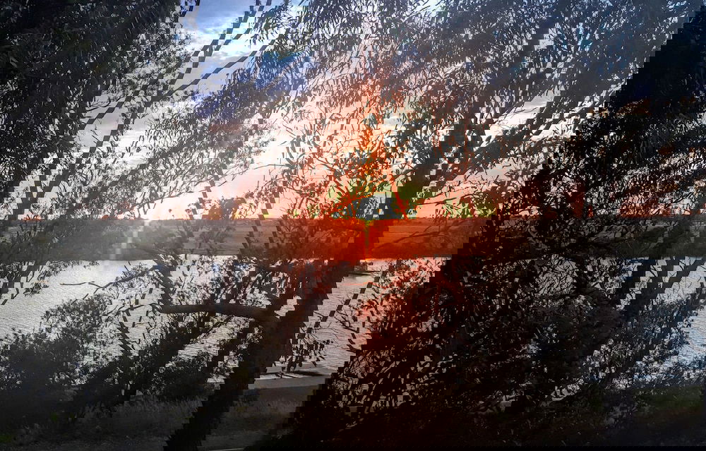 Elwomple SA Accommodation Yamba