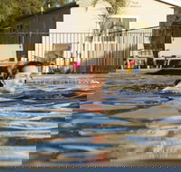 Riverside Cabin Park - Accommodation Yamba