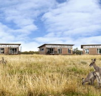 Savannah Cabins - Accommodation Yamba
