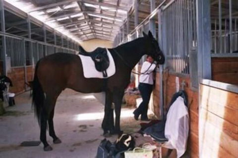 JE Resort - Accommodation Yamba 1