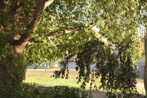 Alkira Motel - Accommodation Yamba 4