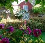 A Country Barn Retreat - Accommodation Yamba