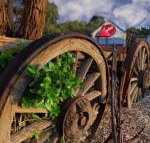 Bellum Hotel - Accommodation Yamba