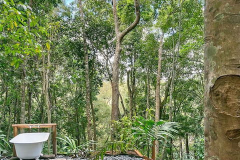 Wanggulay Treetops Cairns City - Accommodation Yamba 7