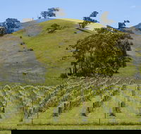 Blue House at Mountainside Wines - Accommodation Yamba