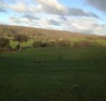 Mancuso Country Cottage Retreat - Accommodation Yamba