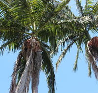 Tri Byron Bay - Accommodation Yamba