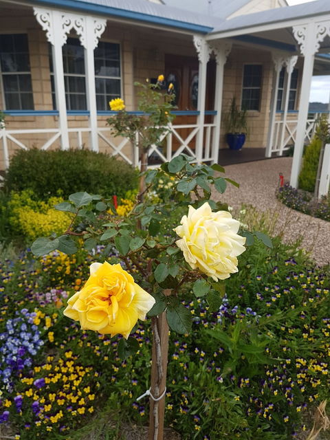 Grovely House Bed & Breakfast - Accommodation Yamba 3