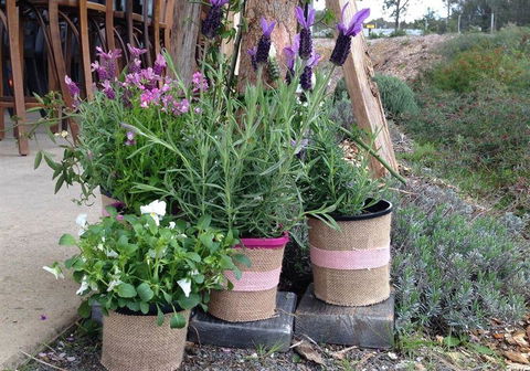 Amongst The Sticks - Accommodation Yamba 1