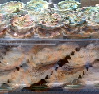 Red Fox Coffee Lounge - Accommodation Yamba