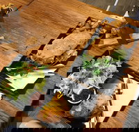 Two Little Owls Cafe - Accommodation Yamba