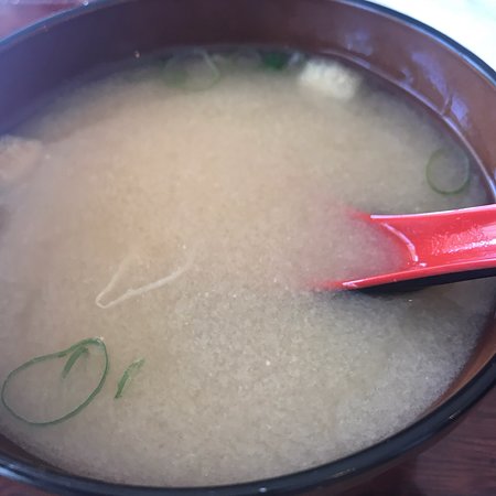 Koi Bento - Accommodation Yamba 0