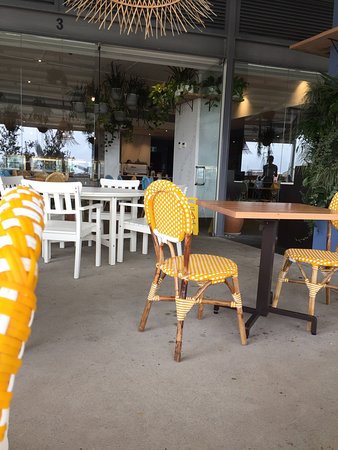 The Beehive Honeysuckle - Accommodation Yamba 0