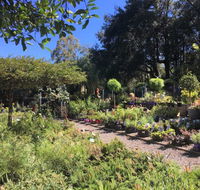 Yatte Yattah Nursery  Cafe - Accommodation Yamba