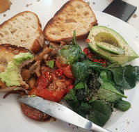 Gold Fish Bowl - Accommodation Yamba