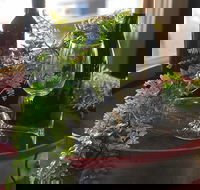 The Red Barrel Wine House - Accommodation Yamba