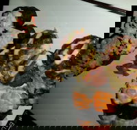 The Star Buffet - Accommodation Yamba