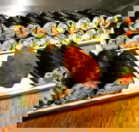 Freewave Sushi  Burgers - Accommodation Yamba