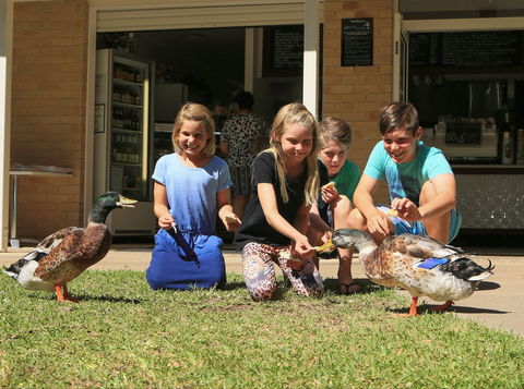 Arkarra Gardens Cafe And Restaurant - Accommodation Yamba 2