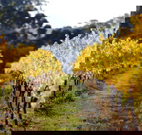 Prickly Moses Brewery - Accommodation Yamba