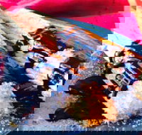 Donut King - Point Cook - Accommodation Yamba